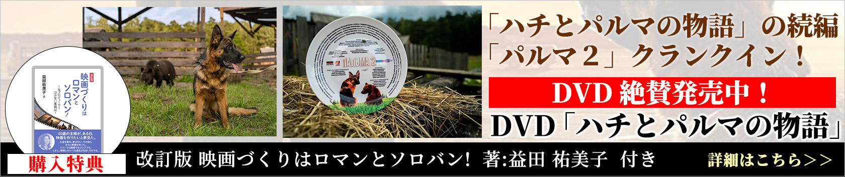 DVD 日露共同作品映画「ハチとパルマの物語」発売中！