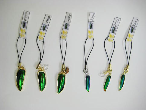 玉虫ペンダント01 玉虫ペンダント01